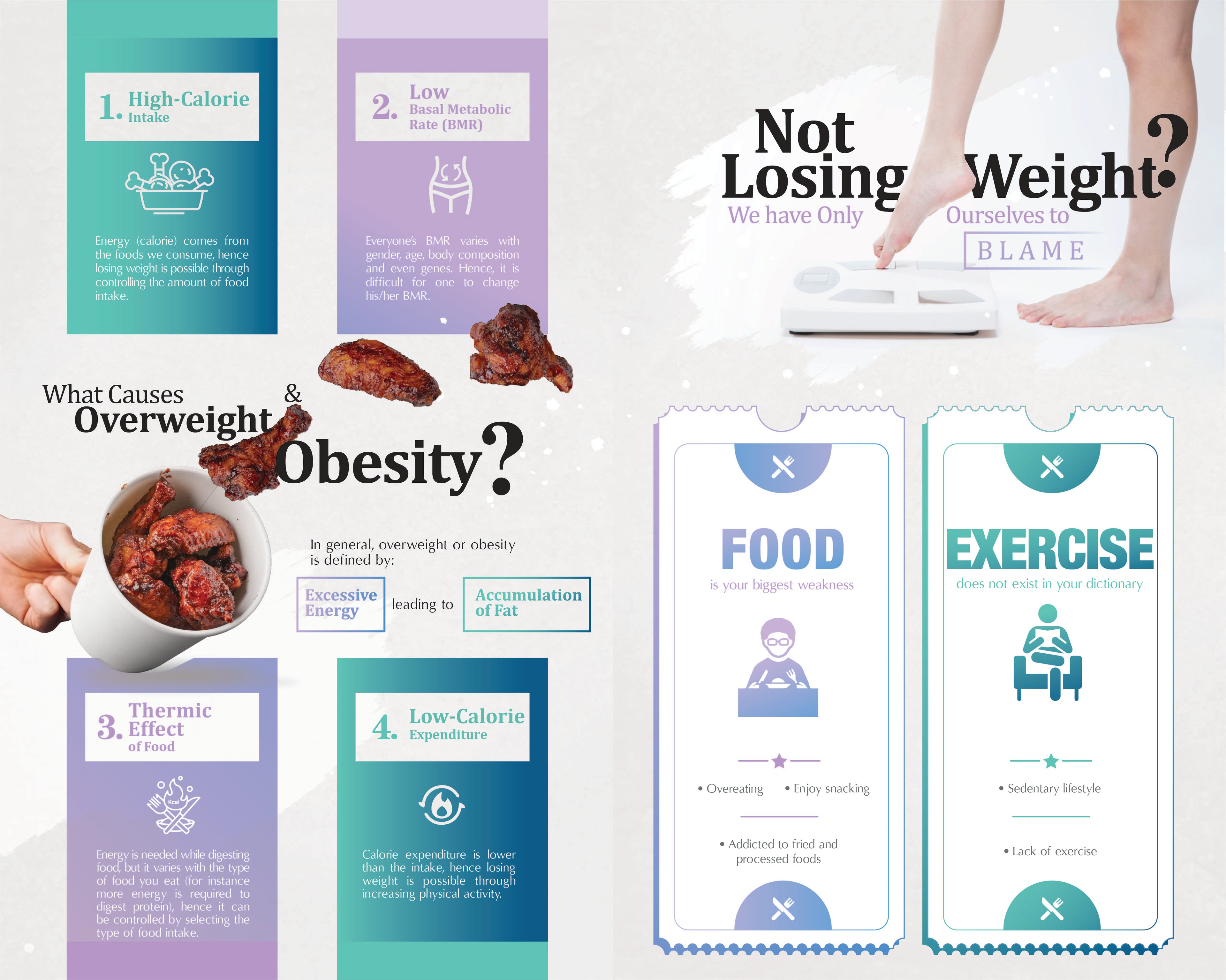 Zenso Weight Management Programme E-Booklet | Wellous x WellLife