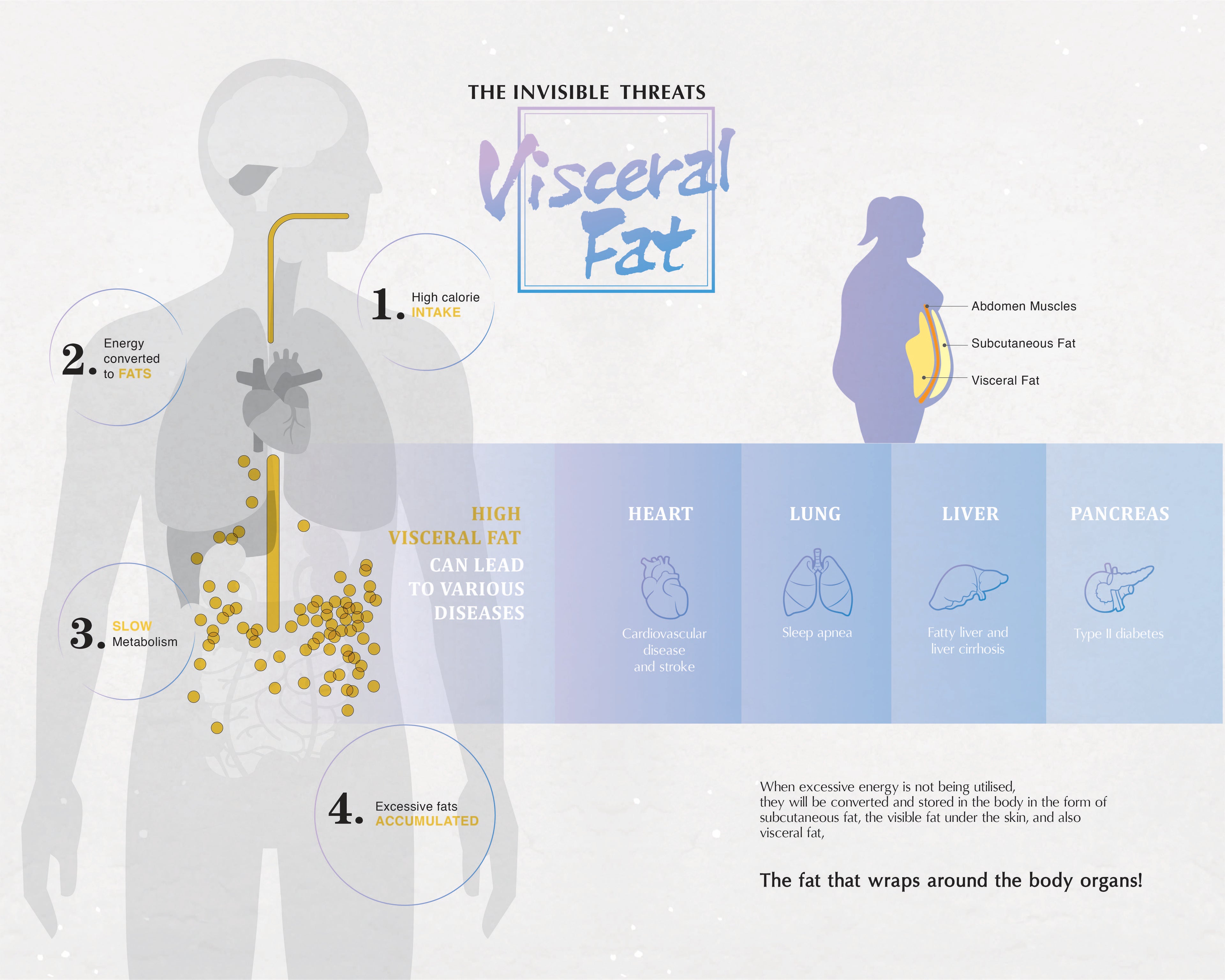 Zenso Weight Management Programme E-Booklet | Wellous x WellLife