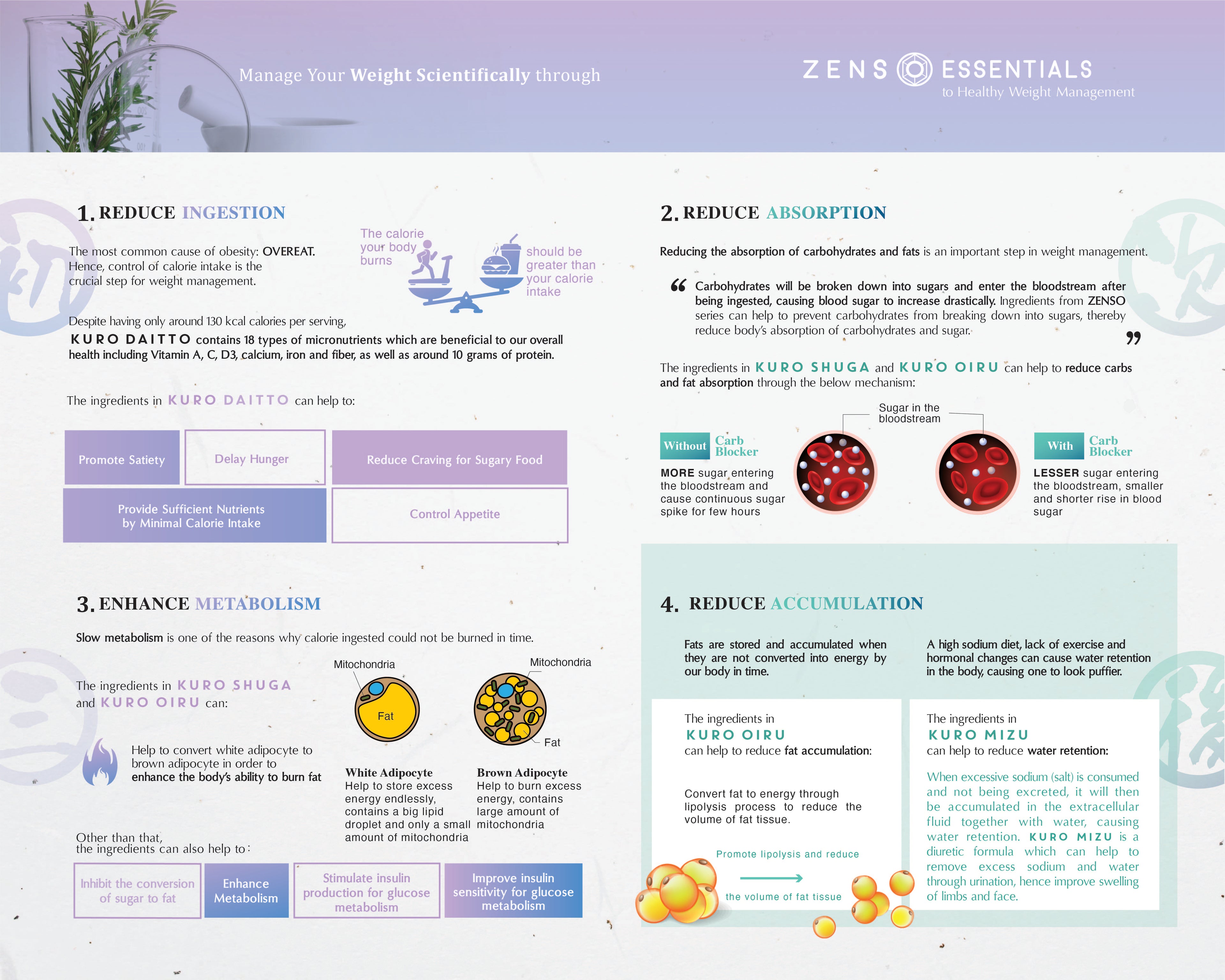Zenso Weight Management Programme E-Booklet | Wellous x WellLife