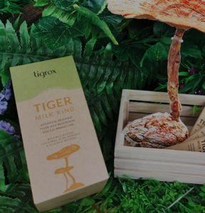 Wellous Tigrox Tiger Milk King | WellLife