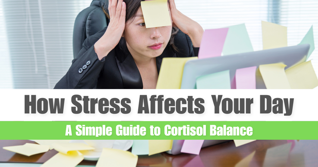 How Daily Stress Shapes Appetite, Energy and Overall Balance