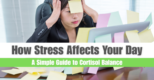 Stress & Cortisol 101: How Daily Stress Shapes Appetite, Energy and Overall Balance