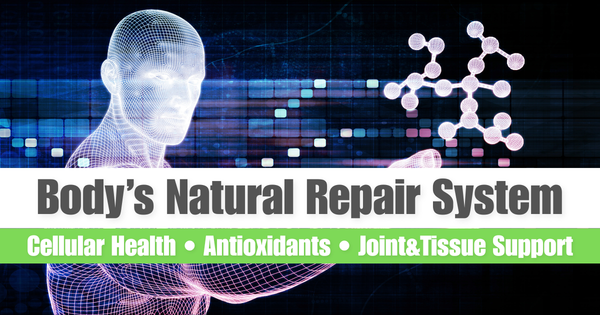 Immority: Guide to Cellular Repair and How Your Body Heals From the Inside Out