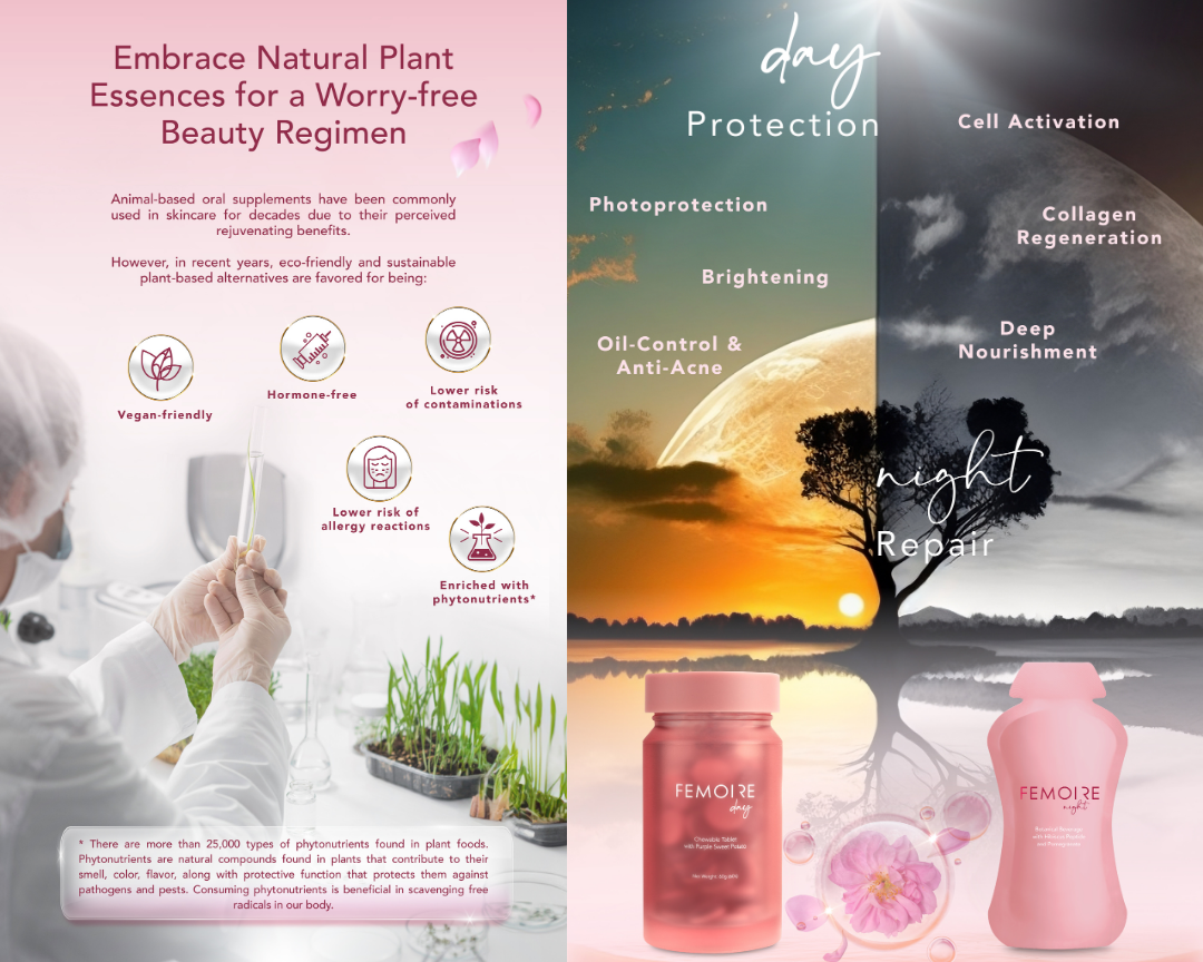 Femoire Day & Night E-Booklet ｜ Wellous x WellLife