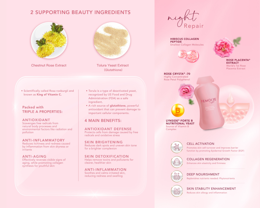Femoire Day & Night E-Booklet ｜ Wellous x WellLife