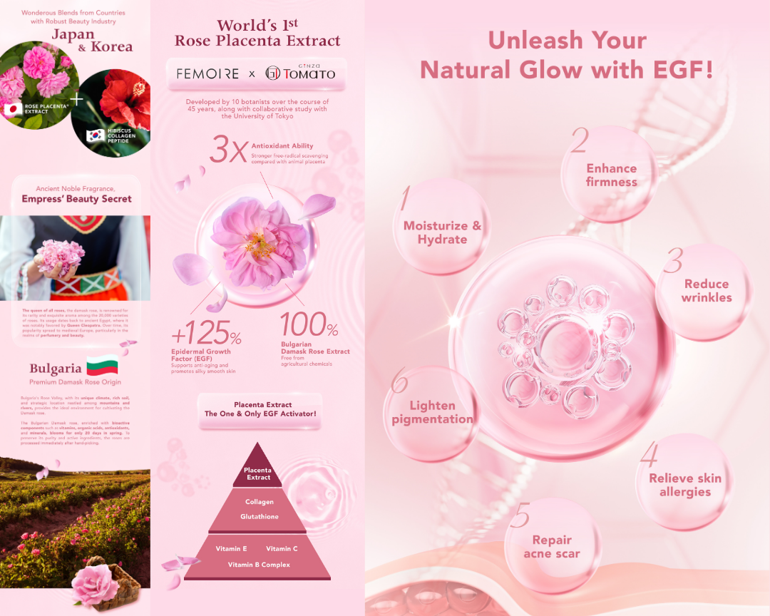 Femoire Day & Night E-Booklet ｜ Wellous x WellLife