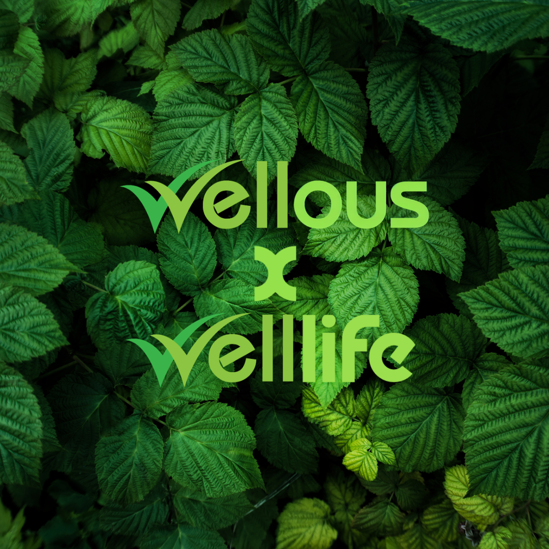 WellLife - Verified Wellous Dealer 